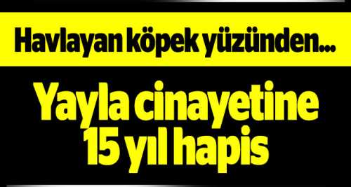 Yayla cinayetine 15 yıl hapis