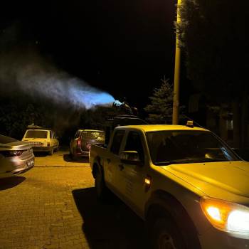 Yaz Aylarında Artan Sivrisineklere Karşı İlaçlama Çalışmaları
