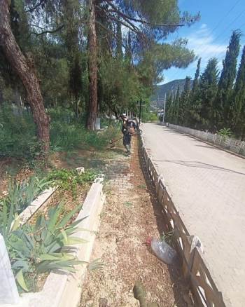 Yaz Mevsiminin Gelmesiyle Yabani Otlarla Mücadele Başladı
