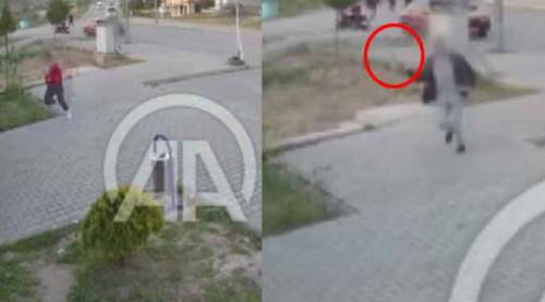 Yeğeniyle görüşmesine sinirlendi: Palayla kovaladı