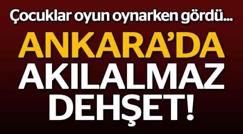 Yeni doğmuş bebek cesedi bulundu