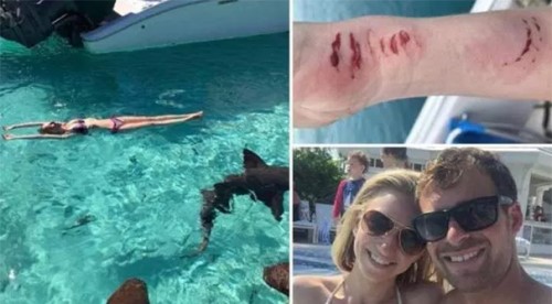 Yeni evli çift balayında dehşeti yaşadı