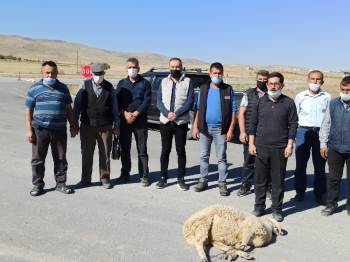 Yeni Kazalar Yaşanmasın Diye Kurban Kesip Dua Ettiler
