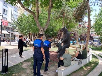 Yere İzmarit Atanlar Yandı
