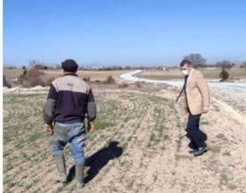 Yerli Ve Milli Buğday Tohumu Ekili Alanlar Kontrol Edildi
