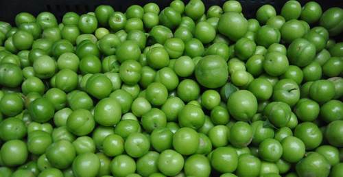 Yeşil erik diyette tüketilir mi? Faydaları neler? 