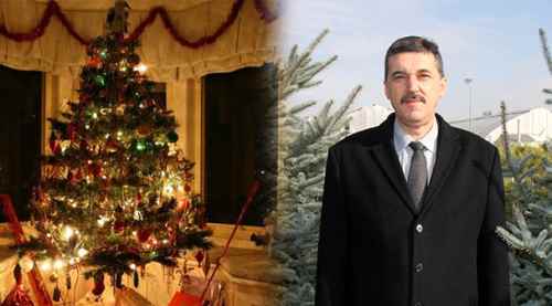 Yılbaşı için "emanet çam fidanı"