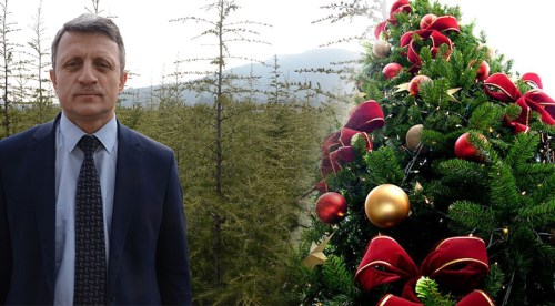 Yılbaşı öncesi 'çam ağacı' uyarısı