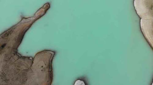 Yılda bir kez bu rengi alıyor, gören hayran kalıyor!