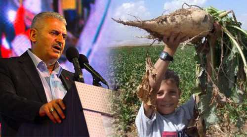 Yıldırım, pancar üreticisini sevindirdi