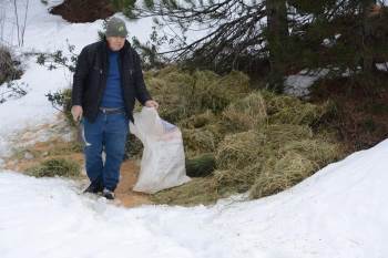 Yılkı Atları Ve Kızıl Geyikler İçin Yem Bırakıldı
