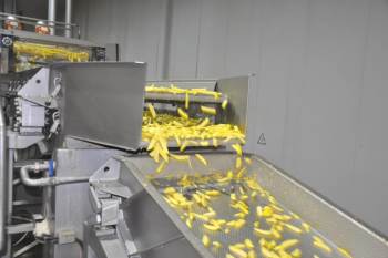 Yıllık 25 Bin Ton Patates İşliyorlar
