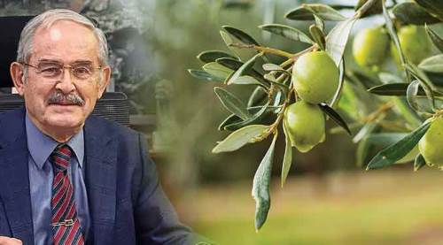 Yılmaz Büyükerşen, Eskişehir'de onu markalaştırmaya kararlı! 