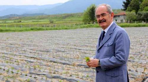 Yılmaz Büyükerşen ne yapıyor?