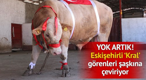 Yok artık! Eskişehirli "Kral" görenleri şaşkına çevirdi
