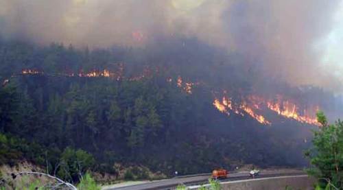 Yok öyle yağma!