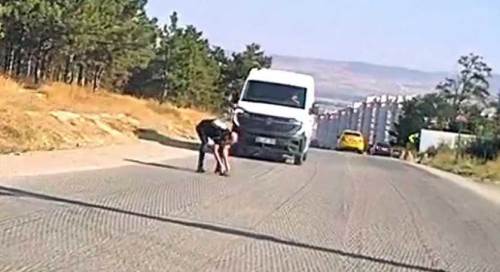 Yol ortasındaki kaplumbağa için trafiği durdurdu
