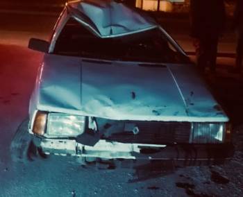 Yola Çıkan Köpek Kazaya Neden Oldu
