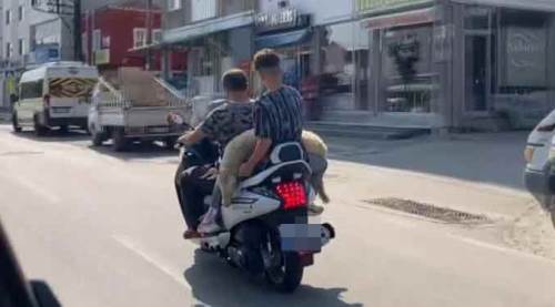 Yolda onları bu halde gören kameraya sarıldı!