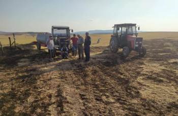 Yüksek Gerilim Hattına Çarpan Kuş Yangın Çıkarttı
