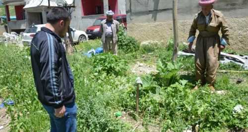 YÜKSEKOVA MAYIN TARLASI GİBİ