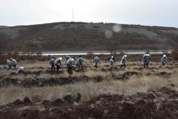 Yükümlüler 600 Adet Ceviz Ve Badem Fidanını Toprakla Buluşturdu
