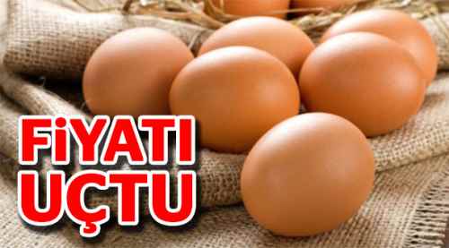 Yumurta fiyatları 20 günde yüzde 100 arttı