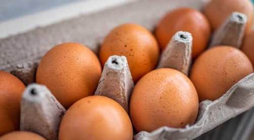 Yumurta fiyatları uçtu gitti: Bakanlıktan kritik tedbir!