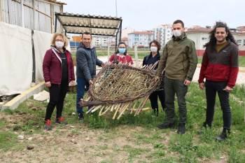Yuvasız Kalan Leylek İçin Seferber Oldular
