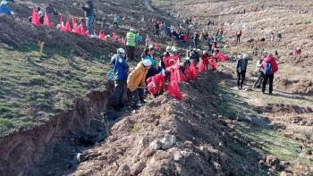 Yüzlerce Fidan Toprakla Buluştu
