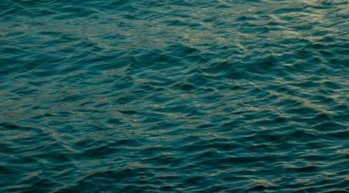  Yüzlerce sporcu Eskişehir'de: Büyük mücadele başladı!