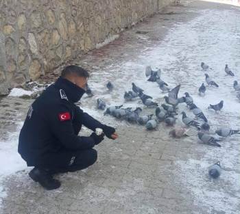 Zabıtadan Duyarlı Davranış
