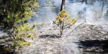 Zamanında Müdahale Büyük Bir Faciayı Önledi

