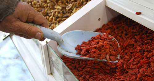 ZAYIFLAMAK İÇİN GOJİ BERRY