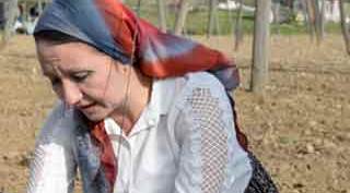 Zekiye Tekin: Belediyede Başkan, tarlada işçi!