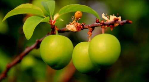 ZENGİNSENİZ YİYEBİLİRSİNİZ