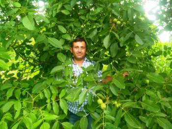 Ziraat Odası Başkanı Çalışkan: Çiftçilerimiz Ceviz Yetiştiriciliğine Yönelmeli
