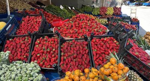 Zirai donun ardından Bolu pazarı çilekle doldu