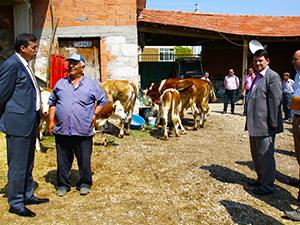 Yüzler Orköy Destekleriyle Gülüyor 