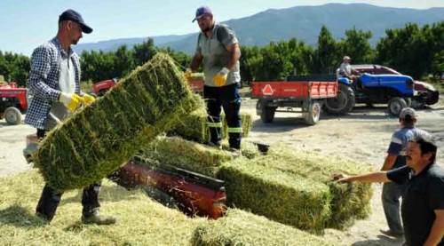 Zorlanan üreticiye nefes oldular