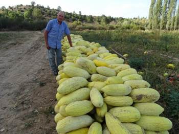 27 Yıllık Çiftçi, İlçenin Yerli Kavun Ve Patates Deposu
