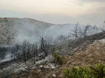 Afyonkarahisar’Da Orman Yangını
