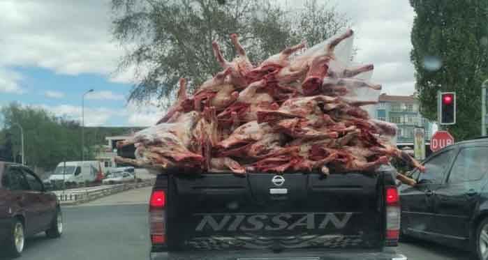 Akıl almaz görüntü: Yüzlerce kilo eti...