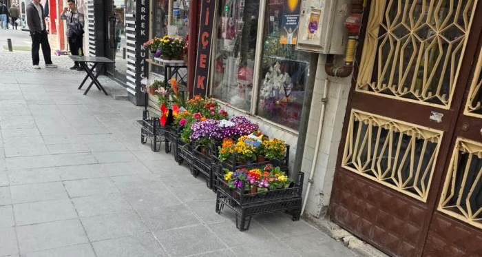 Baharın gelişi Eskişehir’de caddeyi çiçeklerle doldurdu Baharın gelişi Eskişehir’de caddeyi çiçeklerle doldurdu