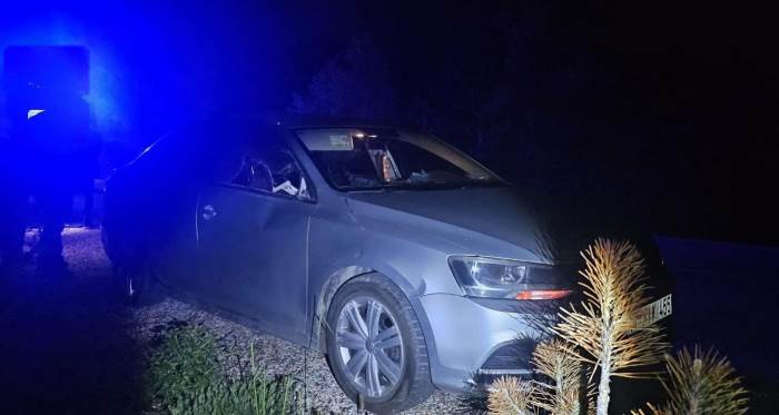 Bilecik’te seyir halindeki otomobile geyik çarptı: 2 yaralı Bilecik’te seyir halindeki otomobile geyik çarptı: 2 yaralı