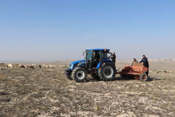 Emirdağ’Da Sulu Ve Kuru Buğday Çeşitlerinin Deneme Ekimi Yapıldı
