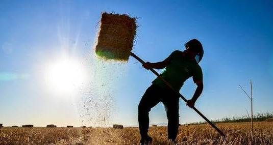 Eskişehir Büyükşehir’den üreticilere destek: Başvurular başladı! Eskişehir Büyükşehir’den üreticilere destek: Başvurular başladı!