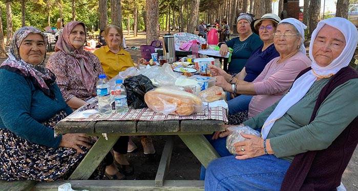 Eskişehir'de 60 yaş üstü piknikte buluştu