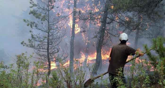 Eskişehir'de büyük yangın sürüyor: Sebebi belli oldu