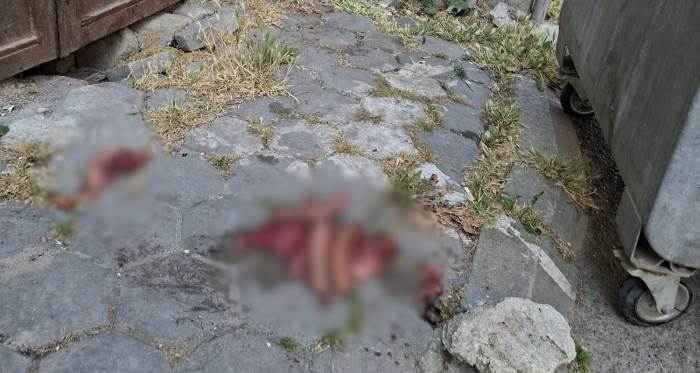 Eskişehir’de kaldırıma bırakılan hayvansal atıklar tepki çekti Eskişehir’de kaldırıma bırakılan hayvansal atıklar tepki çekti